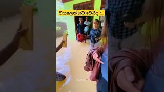 කිඹුලෙක් එහෙම ඉදිද බලන්නකෝ 🙂😂 viral tiktok trending dance srilanka shorts [upl. by Alcina]