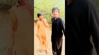 Teddy kabar te ludo khela  funny vellmunda funnypictures trending comedy thevelhacomedy [upl. by Cerelly]