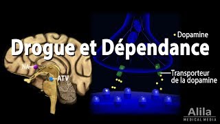 Mécanisme de Dépendance dans le Cerveau Animation [upl. by Lohner]