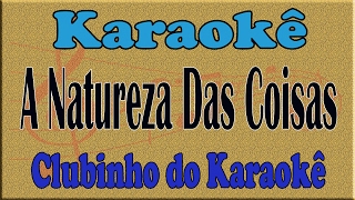 Karaoke A Natureza Das Coisas  Flávio José [upl. by Ainevul423]