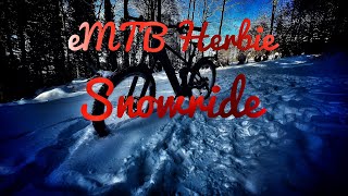 Monschau  Snowride [upl. by Ramilahs]