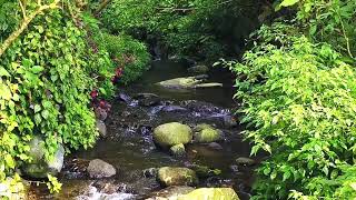 Relaxing River Sounds Mountain Stream Waterfall Gentle Stream for sleep study insomnia meditation [upl. by Tobit]