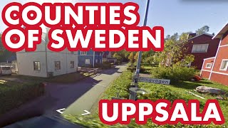 I found Turkey Turkiet in Sweden  Swedish Counties  GeoGuessr [upl. by Anilah]