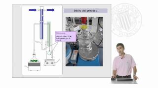 ExtracciónDestilación Simultáneas Equipo LikensNickerson  45  UPV [upl. by Kcirdahs440]