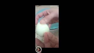 SATISFYING EGG CREATION [upl. by Tega]