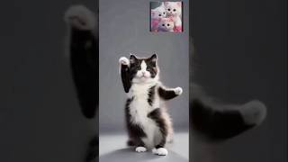 cutecats dance 💖💖shortsviralyoutubeshortsytshortsviralshortsshortsfeeds [upl. by Eilojne]