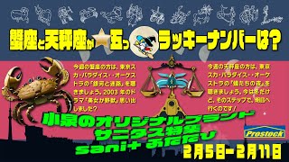 【2024年2月5日2月11日】魔導士Pちゃん 今週の占い HD版  小泉のオリジナルブランド、サニタス特集 新キャラクター sani 小泉 [upl. by Ahsyekat]