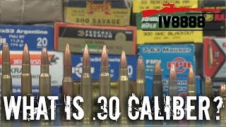 Firearms Facts 30 Caliber Explained [upl. by Hedvig360]