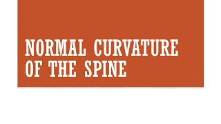 Normal Curvature of the Spine [upl. by Reffotsirhc125]