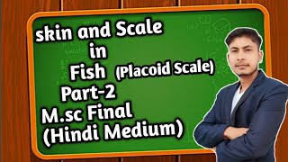 Skin and Scale in Fishes  Placoid Scale Part2 Hindi Medium [upl. by Warfourd966]