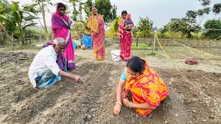 আজ আমাদের বাগানে শীতকালের আলু পিঁয়াজ চারা লাগানো হল [upl. by Salem]