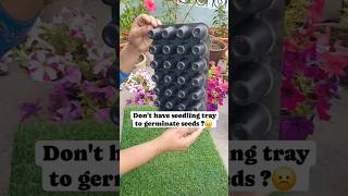 diy diy seedling tray  seedling tray ka jugaad diy diycrafts diycraft gardening gardeningtips [upl. by Loralie]