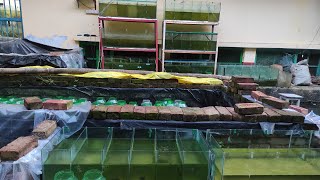 Learn Why My new farm tank setup is on the Rise [upl. by Skylar]