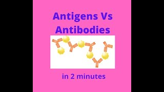 Antigens vs Antibodies in under 2 mins [upl. by Bartel]