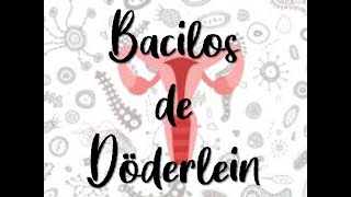 Bacilos de Döderlein [upl. by Absalom]