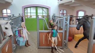 Schleich Pferde Videos 🐎 [upl. by Martsen]