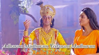 Adharam Madhuram Vadanam Madhuram Song With Lyrics From Radha Krishna [upl. by Neyu130]