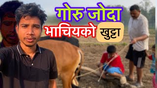 गोरु जोदै गर्दा भाइले धन्न खुट्टा जोगायोnew video [upl. by Dwight]