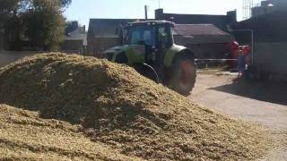 Ensilage par une Claas [upl. by Irrehs76]