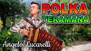 POLKA TERAMANA  Angelo Lucarelli campione mondiale di organetto [upl. by Latin415]