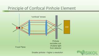 Confocal Microscopy Tutorial [upl. by Foah]