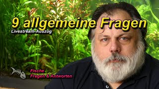 9 ALLGEMEINE FRAGEN RUND UM DAS AQUARIUM [upl. by Chuch]