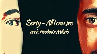 ŠORTY  ALL I CAN SEE prod HOODINI x MIKELO LYRICS VIDEO 2016 [upl. by Akela389]