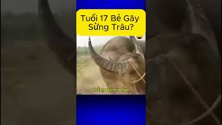 Tuổi 17 Bẻ Gãy Sừng Trâu shorts laughingnonstopvl funny [upl. by Esinned]