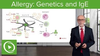 Allergy Genetics and IgE – Immunology  Lecturio [upl. by Ecniuq]