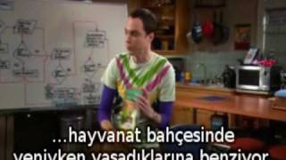 The Big Bang Theory  Arkadaşlık Algoritması altyazılı [upl. by Tekcirk]