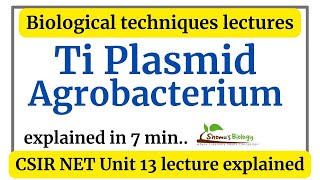 Ti plasmid of agrobacterium in Hindi  Ti plasmid in agrobacterium transformation [upl. by Apple161]