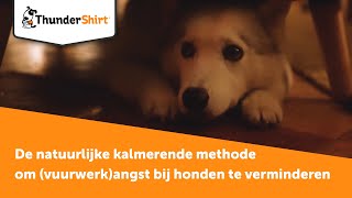 ThunderShirt  De natuurlijke kalmerende methode om vuurwerkangst bij honden te verminderen [upl. by Otirecul]