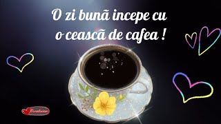 Bunã dimineata ☀️O zi buna incepe cu o cafea 🍮 Mesaje frumoase si urari [upl. by Egroj]