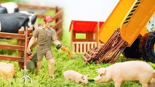 Setup Toy Farm with Farm Animals [upl. by Vihs]