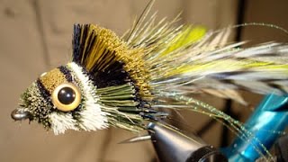 Steve Potter Dahlberg Diver a deer hair popper [upl. by Akirdnwahs]