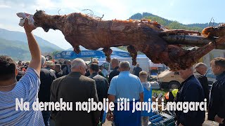 Na Derneku najbolje išli janjci i magarci [upl. by Lleda]