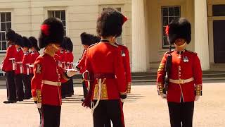 1st Battalion Coldstream Guards [upl. by Sackey]