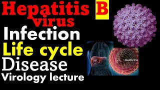 Hepatitis B virus  Structure replication transmission [upl. by Idisahc]