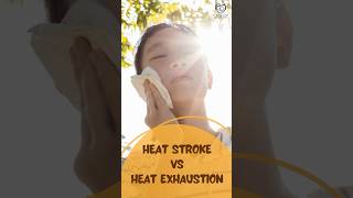 Heat Stroke vs Heat Exhaustion [upl. by Yeleen461]