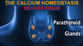 THE CALCIUM HOMEOSTASIS [upl. by Aziaf]