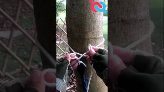 An essentinal knot for hammock knotshortchannel [upl. by Hacim]