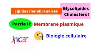 Lipides membranairesGlycolipides et CholestérolMembrane plasmique [upl. by Acemahs]