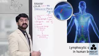 BIOLOGY CHAPTER TRANSPORT CLASS 11 LEC30 IMMUNITY PARTBmp4 [upl. by Draper]