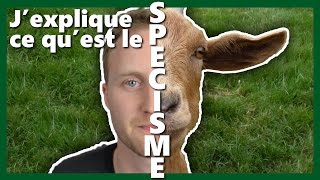 JEXPLIQUE CE QUEST LE SPÉCISME ANNEXE [upl. by Rosabel983]