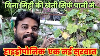 Hydroponic 🔥 की नई सुरवात हो गी इस चैनल पर 👉 AgrifyIndian सो आप से वहा मिलते है [upl. by Bradway]