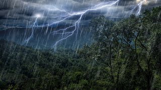 Rain Forest Thunder amp Rain Sleep Sounds  White Noise 10 Hours [upl. by Nnaassilem300]