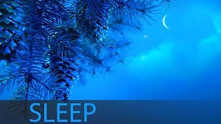 8 Hour Sleep Music Insomnia Deep Sleep Music Calm Music Sleep Meditation Sleeping Music ☯207 [upl. by Attevroc]