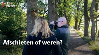 Hoe kunnen we leven met de bever  RTV Utrecht [upl. by Ydisac650]