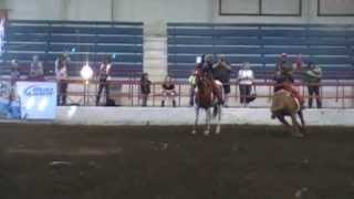 TRX CHX Trick RIders with Budweiser Clydesdales Performance [upl. by Skrap]