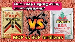 பொட்டாஷ் MOP vs SOP உரங்களின் பயன்கள்  MOP VS SOP FERTILIZER  TAMIL  vivasayapokkisham [upl. by Htims]